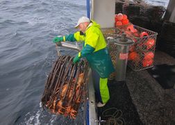 Polsat Viasat Explore HD Australijscy poławiacze homarów 3