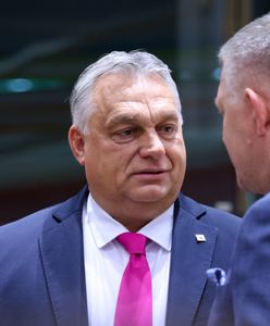 Słowacja i Węgry budują w Unii Europejskiej sojusz wielbicieli Rosji