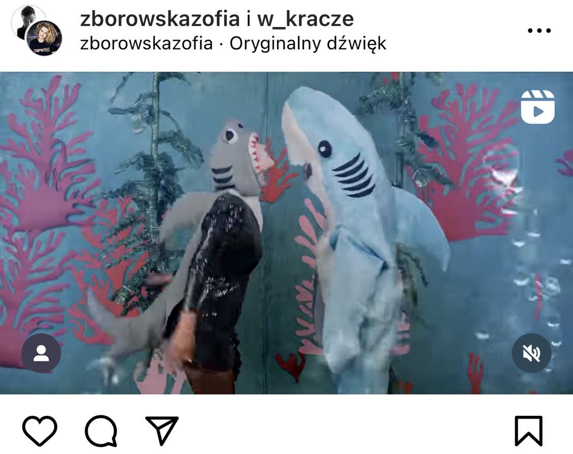 Zofia Zborowska-Wrona i Andrzej Wrona nagrali teledysk, fot. Instagram.com/zborowskazofia