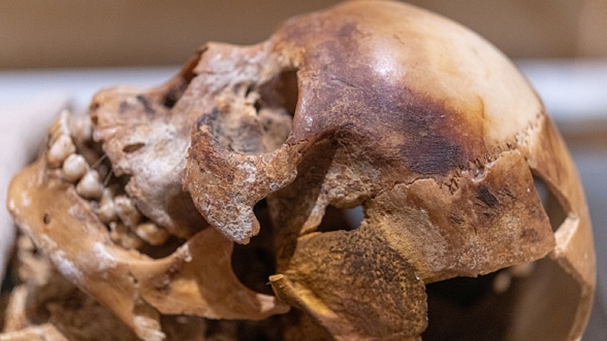 Szczątki mają ponad 7 tys. lat. (zdjęcię poglądowe)