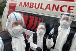 Koronawirus. Wałbrzych. Uratowali zwierzęta z rodziny objętej kwarantanną. Były bite, kopane, podduszane