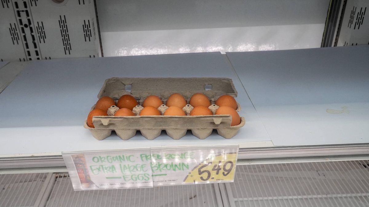 Some US supermarkets have stopped selling eggs
NEW YORK, USA - FEBRUARY 13: An inside view of a supermarket during the egg crisis in New York, United States of America, on 13 February 2025. Due to the reduction in egg supply and the sharp rise in prices caused by the avian flu epidemic in the US, some value grocery chains such as Trader Joe's, Costco and Walmart have limited the number of eggs consumers can buy, leaving shelves bare in some markets, while others have posted warning signs to limit purchases to one carton per customer. Selcuk Acar / Anadolu/ABACAPRESS.COM 
Dostawca: PAP/Abaca
AA/ABACA
Bird flu, Illness / Disability, United States, United States of America, US, USA