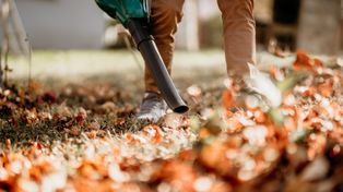 Poznań: Ruszyła jesienna akcja sprzątania liści. ZDM pomaga mieszkańcom w utrzymaniu porządku