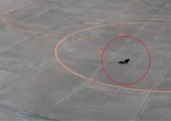 Wbiegł na płytę lotniska. Chwilowo wstrzymano loty