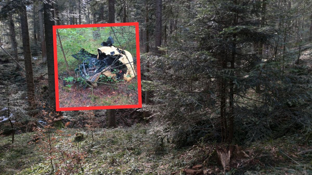 Dzieci leśniczego posprzątały las. Znalezisko szokuje
