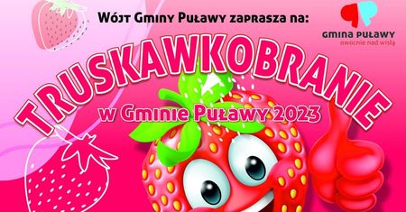 Truskawkobranie w Górze Puławskiej 2023. Gwiazdą imprezy zespół Bobi