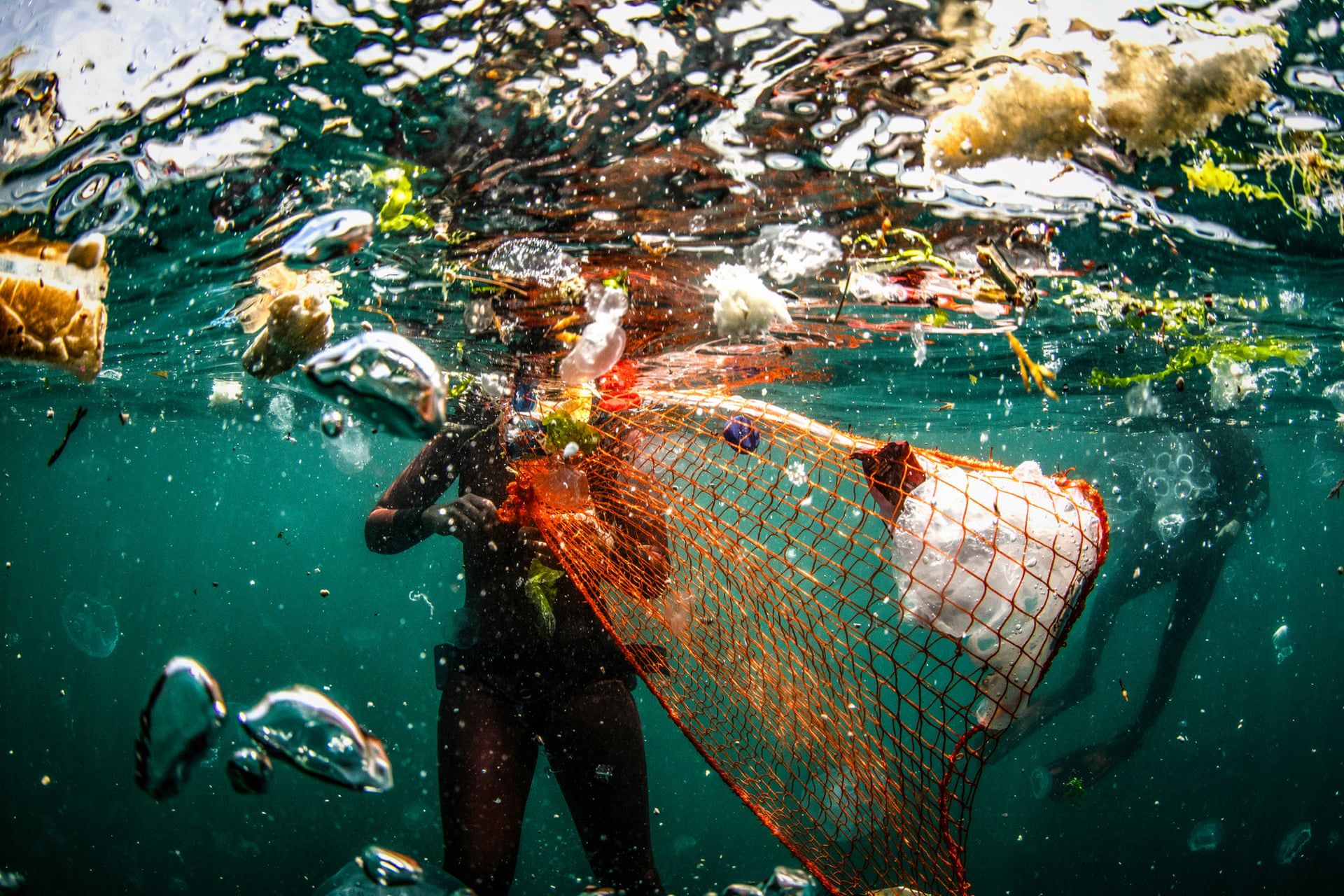 Enviromental Photography Of The Year 2019. Tak wygląda nasza planeta 7