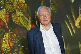 David Attenborough ma 97 lat. Sekretem długowieczności jest ograniczenie tych składników