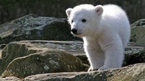 Twój lot ma wpływ - video działające na wyobraźnię 1