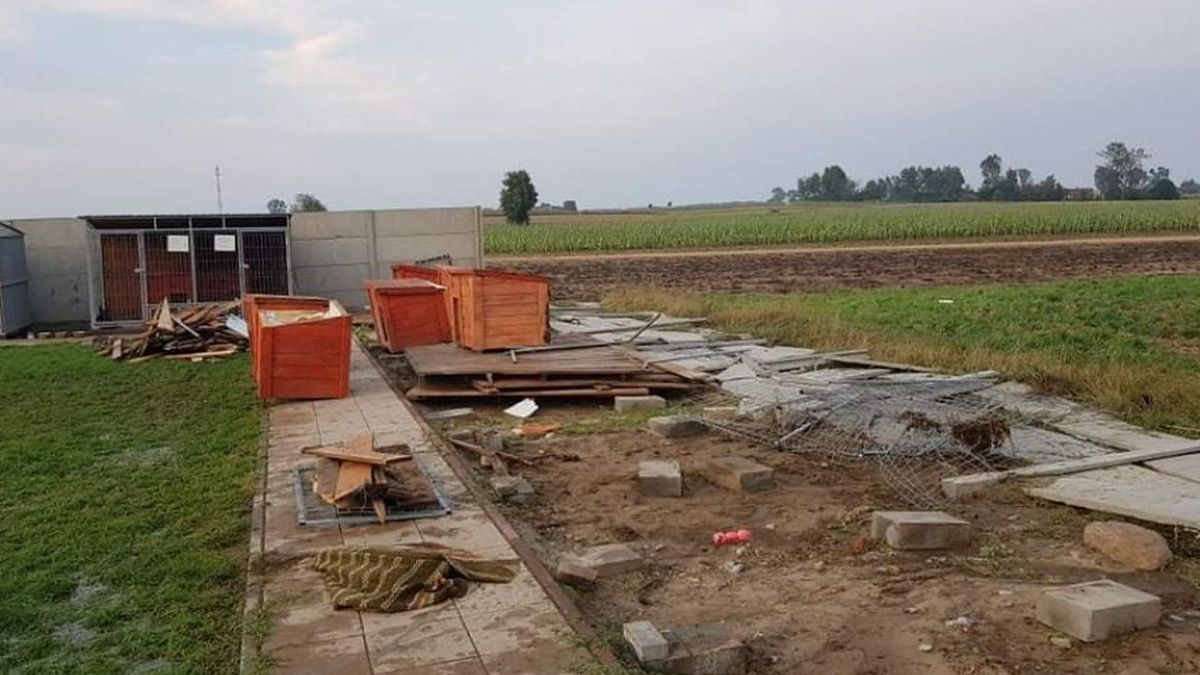 Tak wygląda schronisko dla zwierząt po przejściu trąby powietrznej