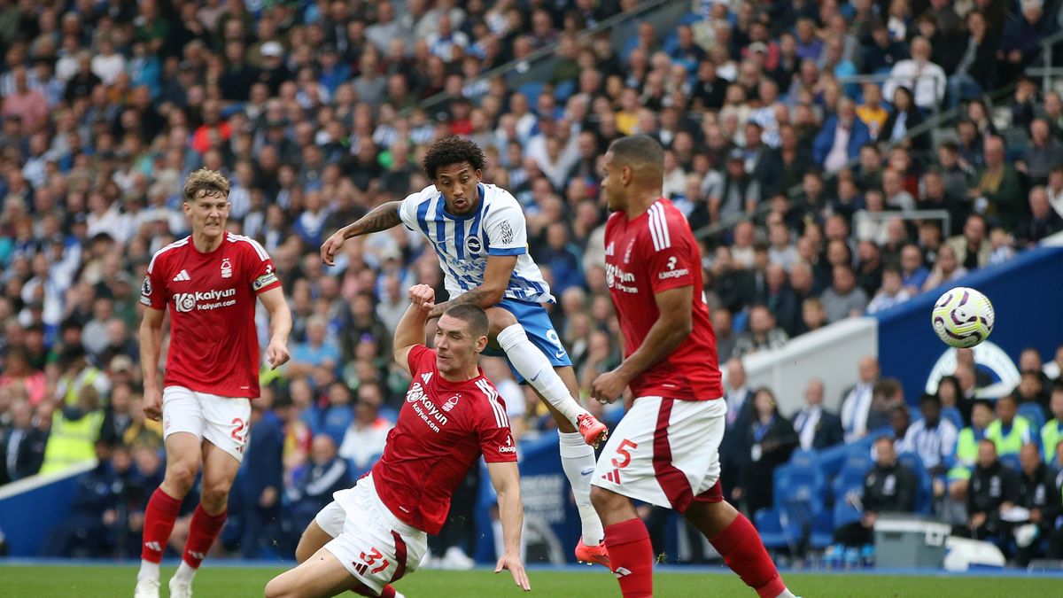 Zdjęcie okładkowe artykułu: Getty Images / Steve Bardens / Na zdjęciu: Brighton & Hove Albion - Nottingham Forest 2:2