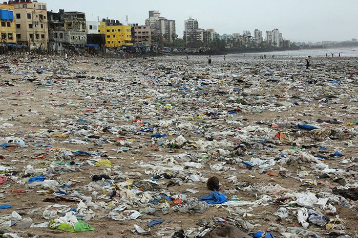 "Największe sprzątanie świata" w Indiach. Efekt przerósł najśmielsze oczekiwania