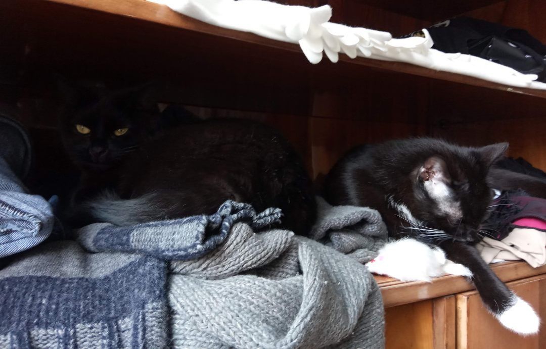 Na sweterkach i d żinsach śpi się najlepiej