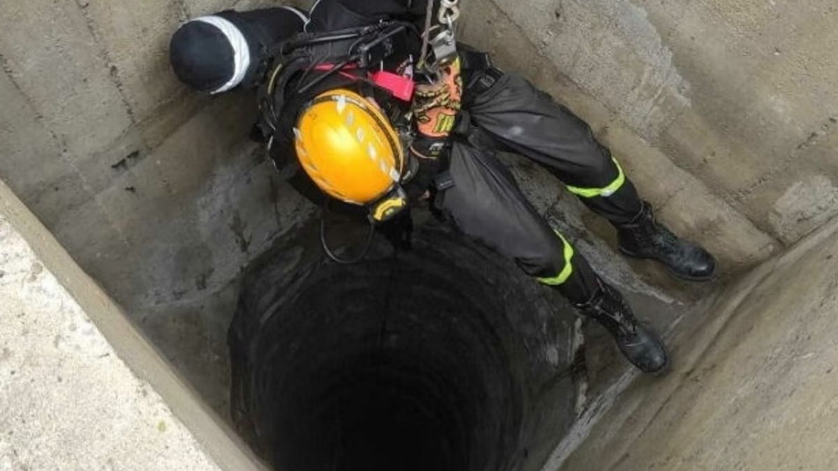 Dzielna koza kilka dni beczała, aż nadszedł ratunek