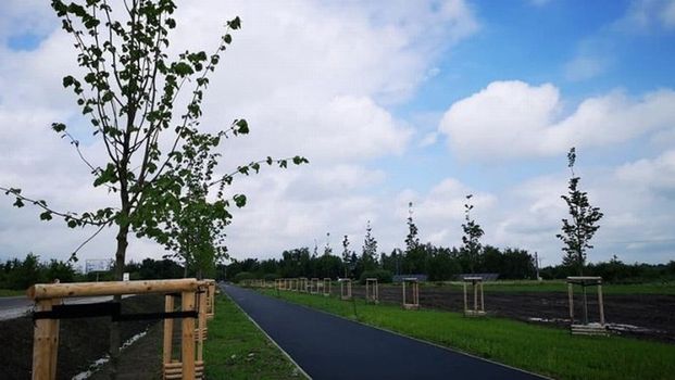 Wrocław. Nowa trasa rowerowa gotowa. Połączyła Świniary z Lipą Piotrowską