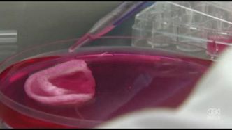 Powstaje materiał, z którego można wykonać części ludzkiego ciała!