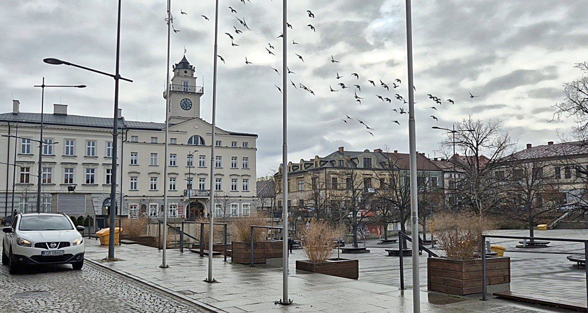 Miasto Gorlice Operatorem Programu "Czyste Powietrze”, to realna pomoc dla mieszkańców. Czy dołączą inne gminy powiatu gorlickiego?