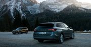 Test: wszystko, co potrafi napęd 4x4 w nowych Skodach: Kodiaq, Superb i rajdowej Fabii