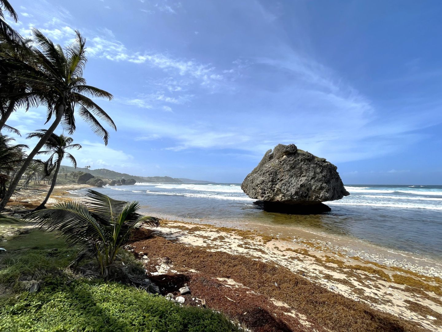 Dzikie wybrzeże wyspy Barbados