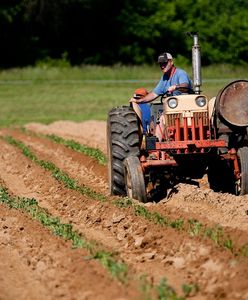 Wynieśli się na wieś. Niszczą pola. Rolnicy są oburzeni