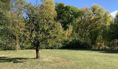 Najpiękniejsze polskie lasy i puszcze (TOP 12)