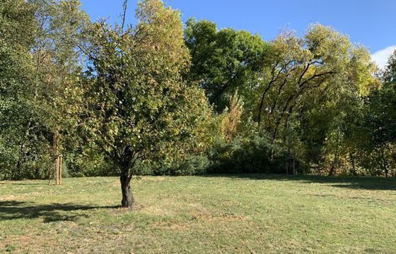 Najpiękniejsze polskie lasy i puszcze (TOP 12)