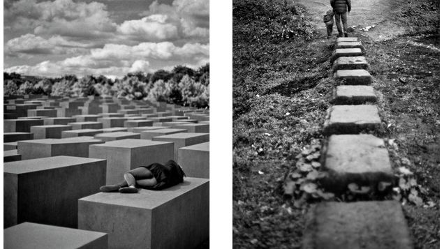 Frymografia: Kwiaty polskie 1