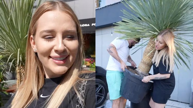 Andziaks kupiła palmę za 5 tys. zł