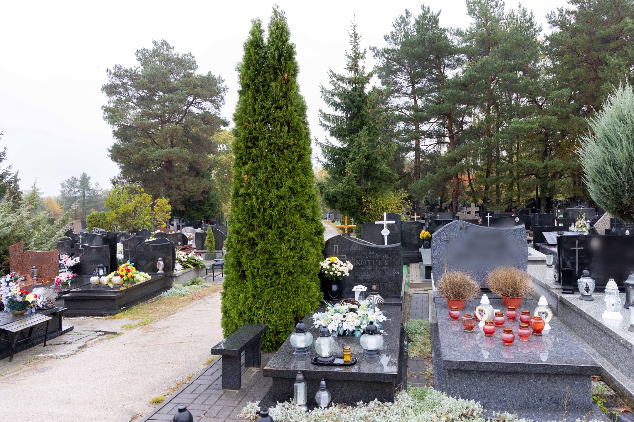 Tak dziś wygląda grób Agnieszki Kotulanki