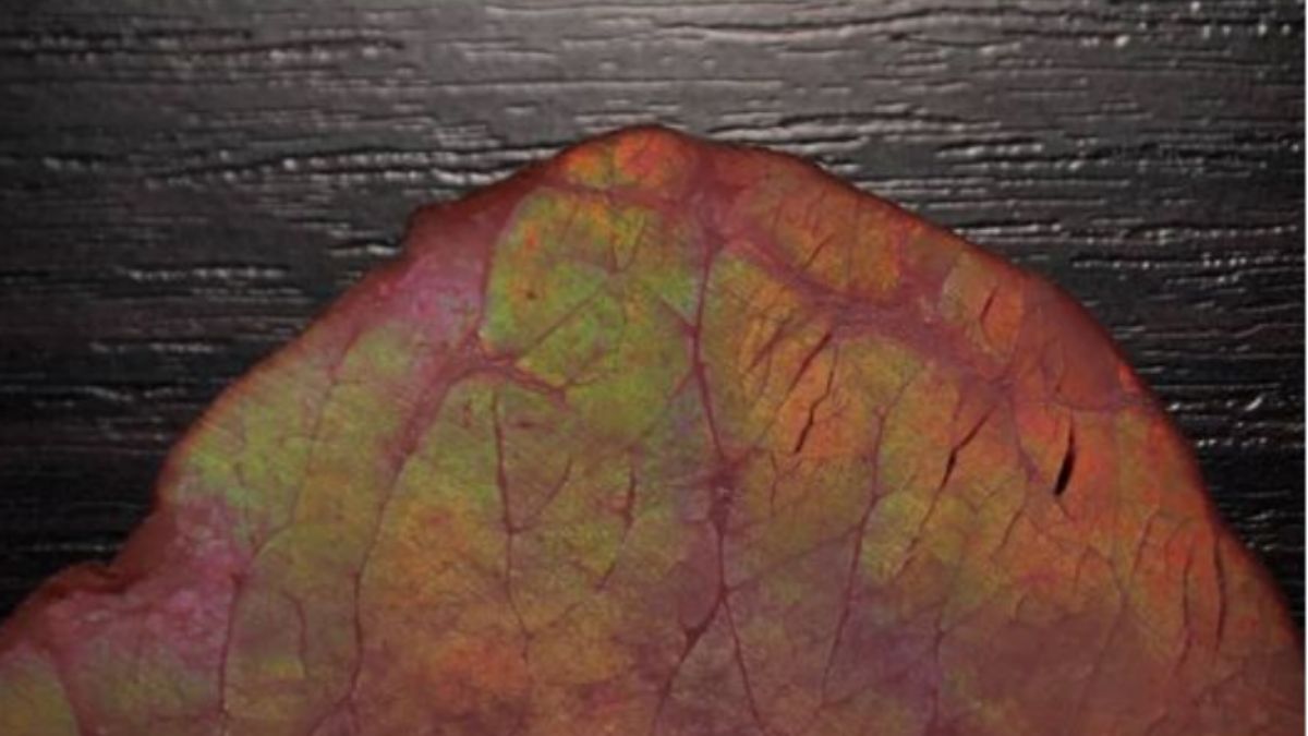 Wędlina z tęczową poświatą