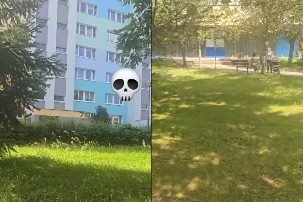 "Uważajcie, rodzice z małymi dziećmi". Nagranie z osiedla w Poznaniu