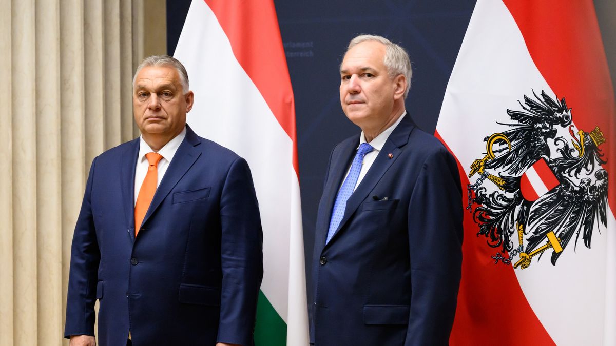 Viktor Orban i Walter Rosenkranz podczas jednego ze spotkań w Wiedniu, 31 października 2024 roku