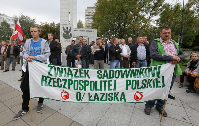 Rosyjskie embargo. Sadownicy protestowali przed Sejmem