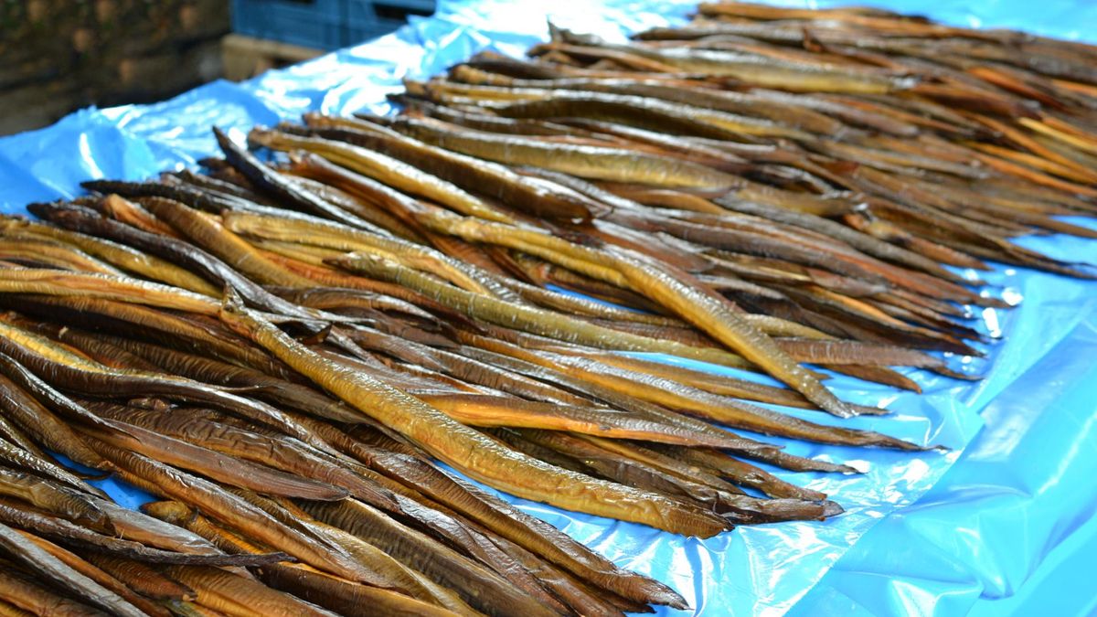 Może poruszać się po lądzie. Smaczny dziwoląg wśród ryb