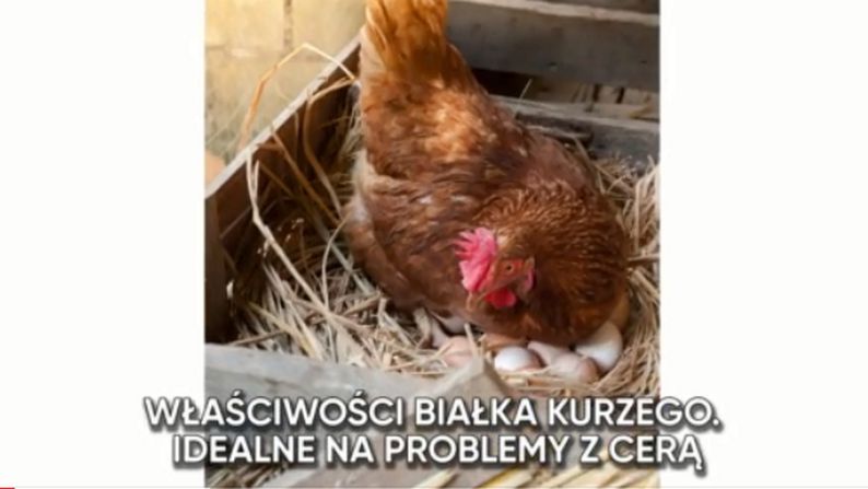 Białko kurze można stosować na problemy z cerą