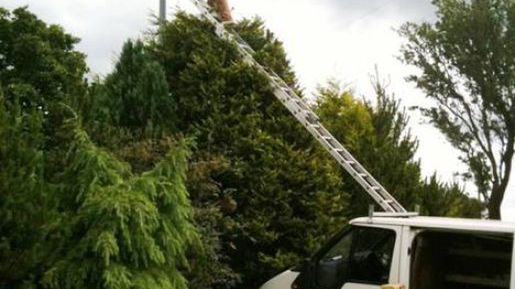 Roboty na wysokości godne nagrody Darwina 1