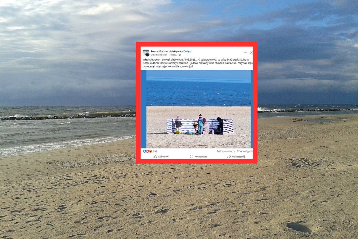 Zdjęcie znad Bałtyku. 8 marca pojawił się pierwszy. "Rzadki widok"