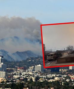 Apokaliptyczny krajobraz w Los Angeles. Dzielnica niemal doszczętnie spalona
