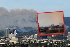 Apokaliptyczny krajobraz w Los Angeles. Dzielnica niemal doszczętnie spalona