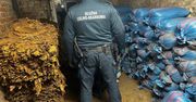 Śląsk: Ponad tona krajanki. Nielegalna krajalnia tytoniu zlikwidowana