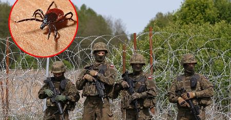 Przygraniczni żołnierze mają problem. "Epidemia puka do drzwi"