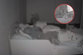Internauci oszaleli na punkcie wideo. "Mówią, że pies wie, kiedy go potrzebujesz"