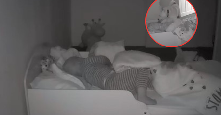 Internauci oszaleli na punkcie wideo. "Mówią, że pies wie, kiedy go potrzebujesz"