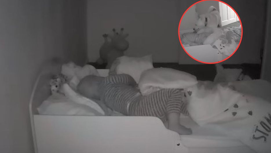 Pies czuwał nad dzieckiem każdej nocy. Nagranie wzruszyło miliony internautów