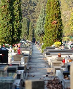 Brakuje miejsc na cmentarzach. Kraków ma pomysł na rozwiązanie