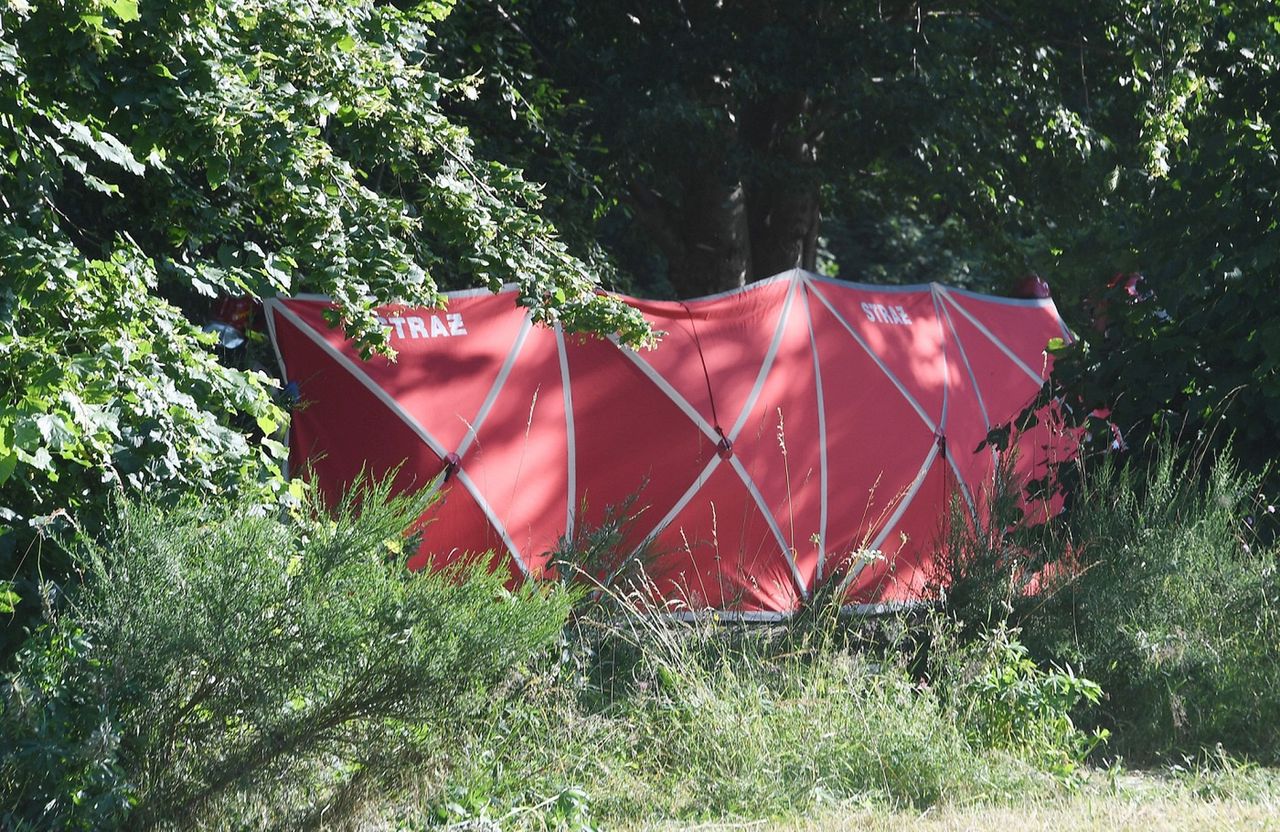 Żednia. Śmiertelny wypadek. Auto wjechało w drzewo