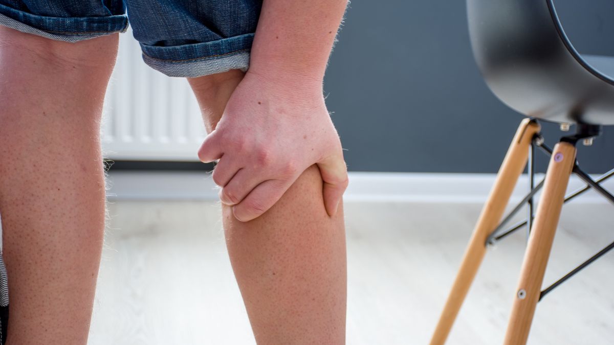Human, who had been elevated from chair, holding his palm over calf or gastrocnemius muscle, which grabbed cramp with severe pain. Concept images illustrating human reaction to pain symptom in calfHuman, who had been elevated from chair, holding his palm over calf or gastrocnemius muscle, which grabbed cramp with severe pain. Concept images illustrating human reaction to pain symptom in calfShidlovskispasm, severe, response, reaction, radiculopathy, pinched, overuse, nerve, injury, human, home, grabbed, elevated