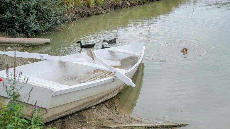 Forgotten Fields Farm Wojciecha Modesta Amaro