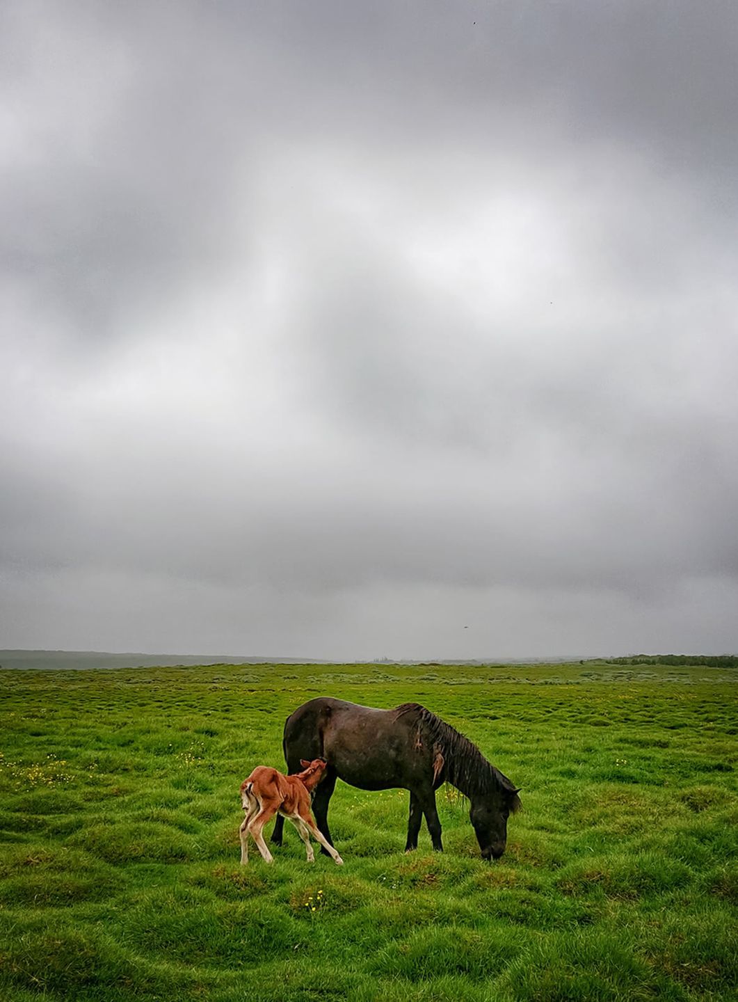 17 polskich nazwisk w selekcji Mobile Photography Awards 2018 21