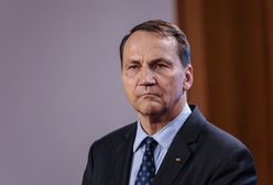 Spięcie Sikorski-Szijjarto. Poszło o ewentualny lot Putina